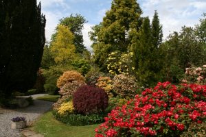 inside walled garden