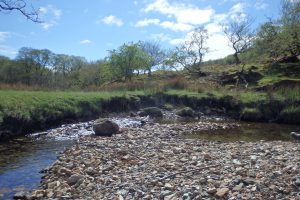 Walk up Glen Stockdale